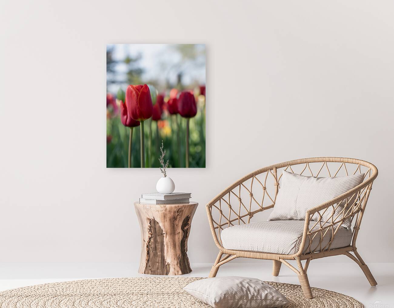  SBP7694 Reproduction