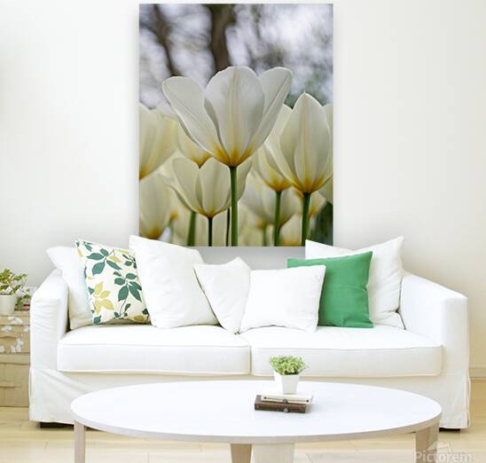  SBP5697 Reproduction