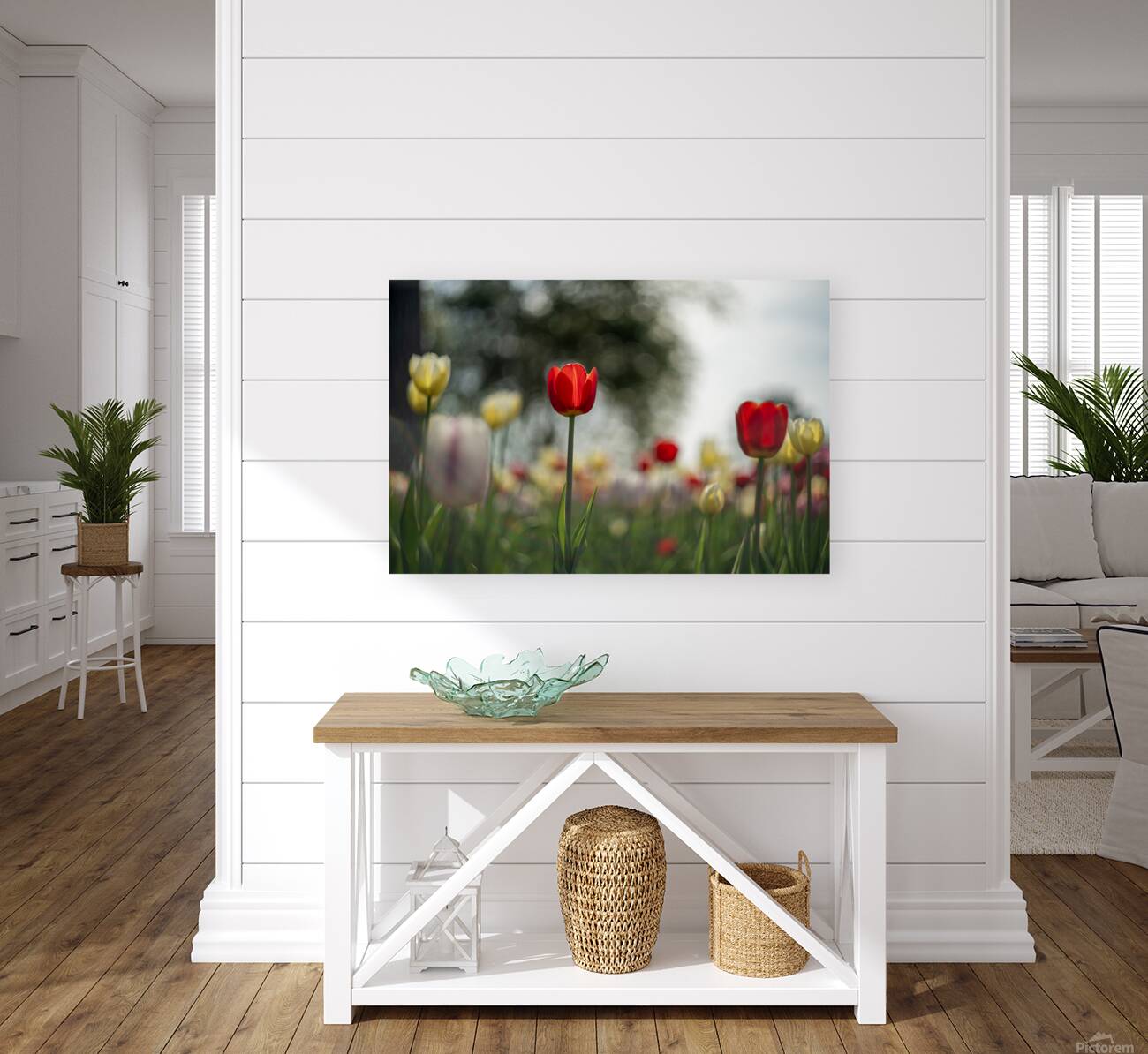  SBP8067 Reproduction