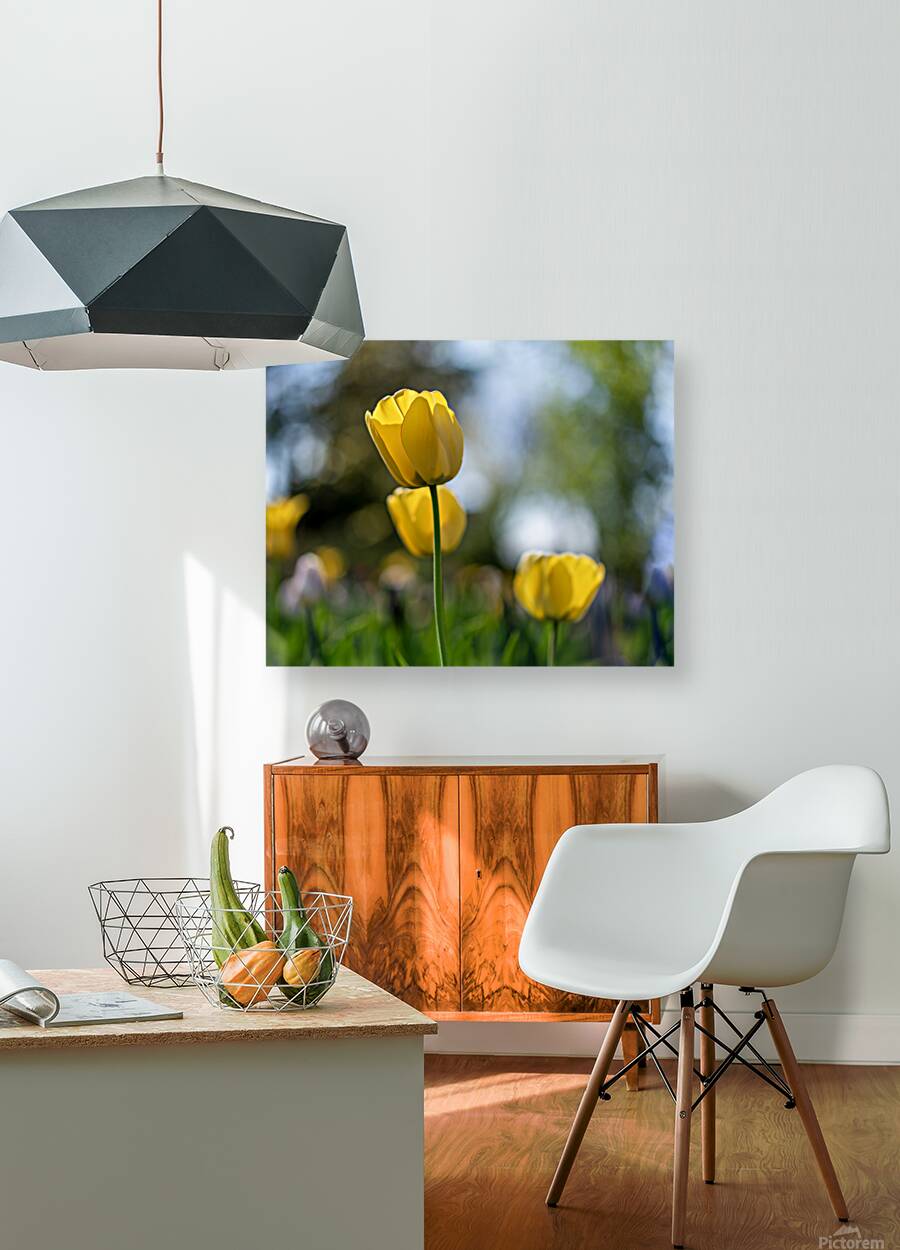  SBP7718 Reproduction