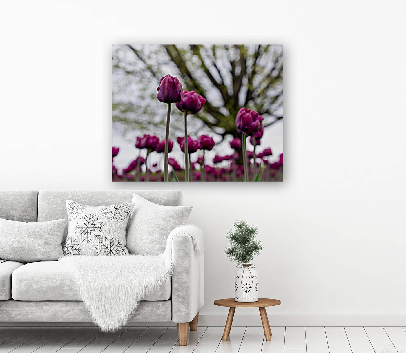  SBP6659 Reproduction