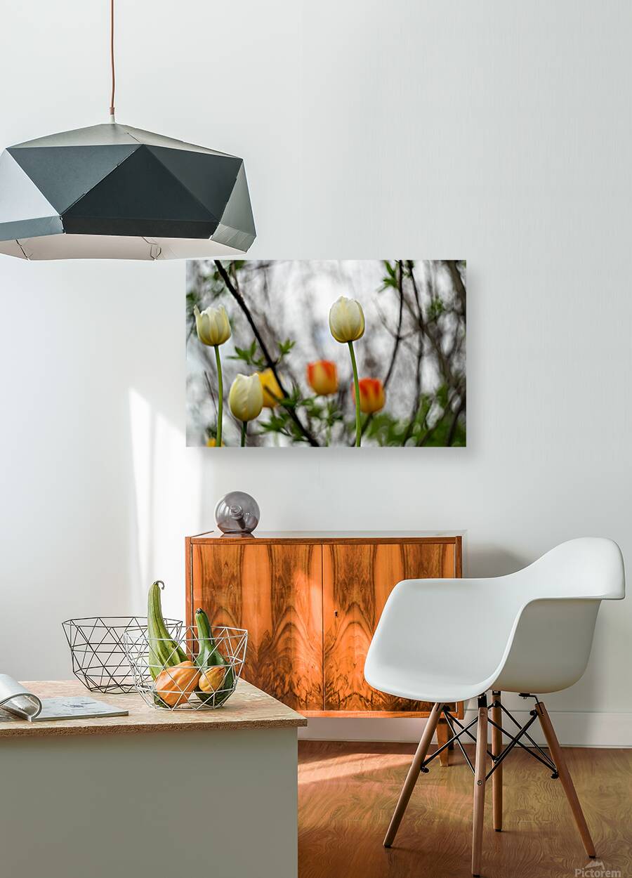 SBP8335 Reproduction