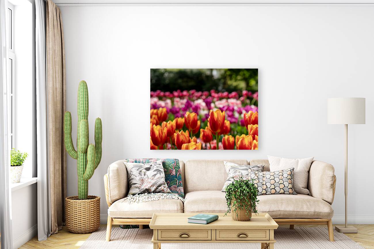 SBP6328 Reproduction