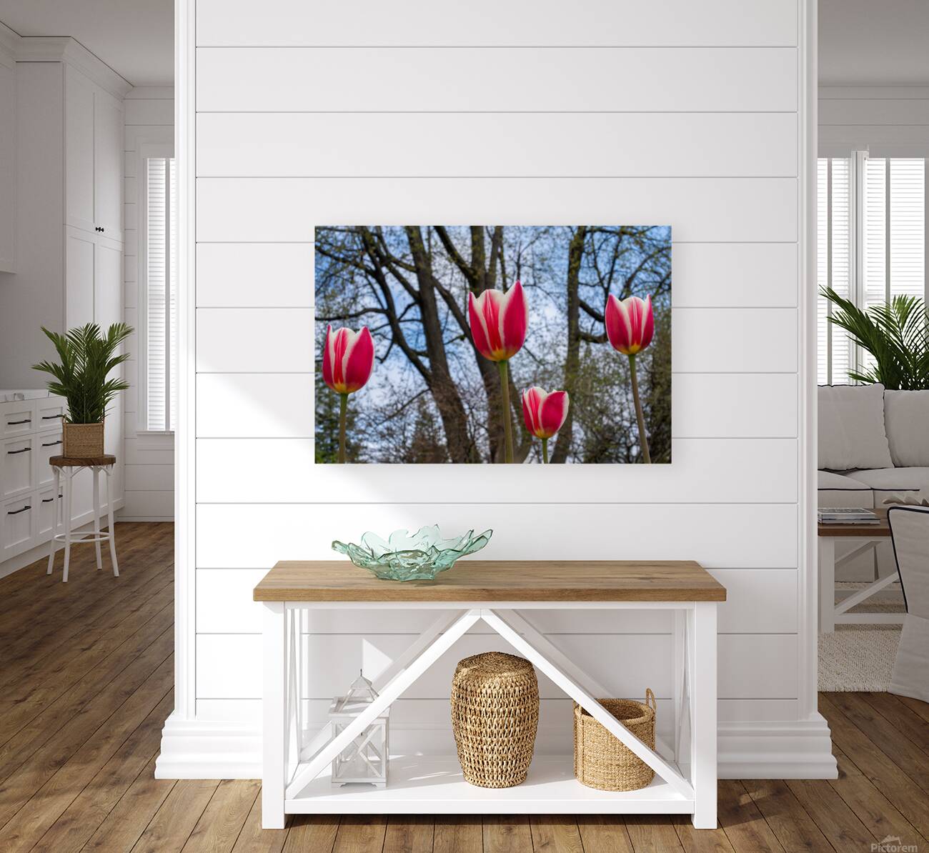 SBP6538 Reproduction