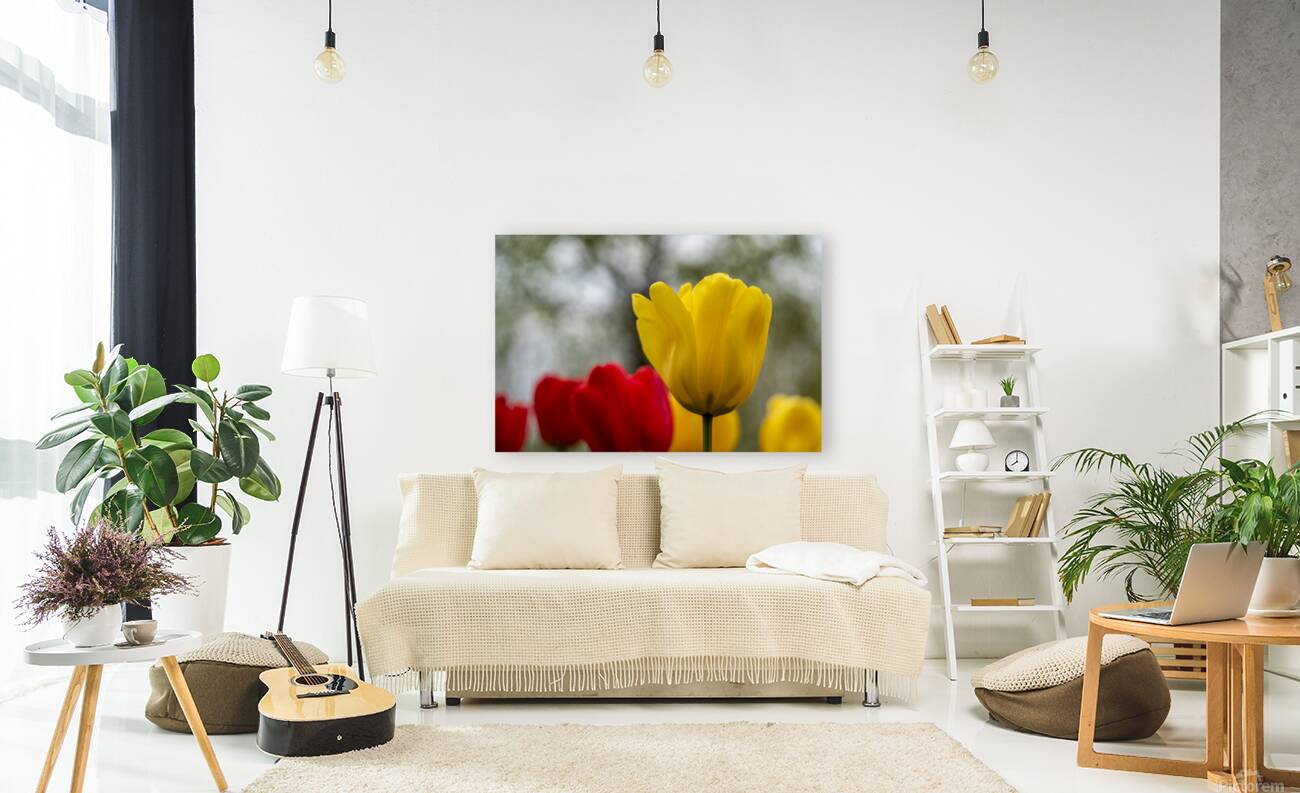 SBP5634 Reproduction