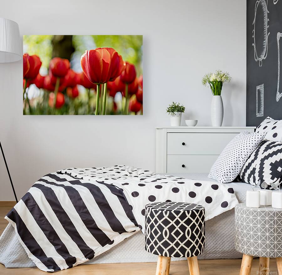 SBP6265 Reproduction