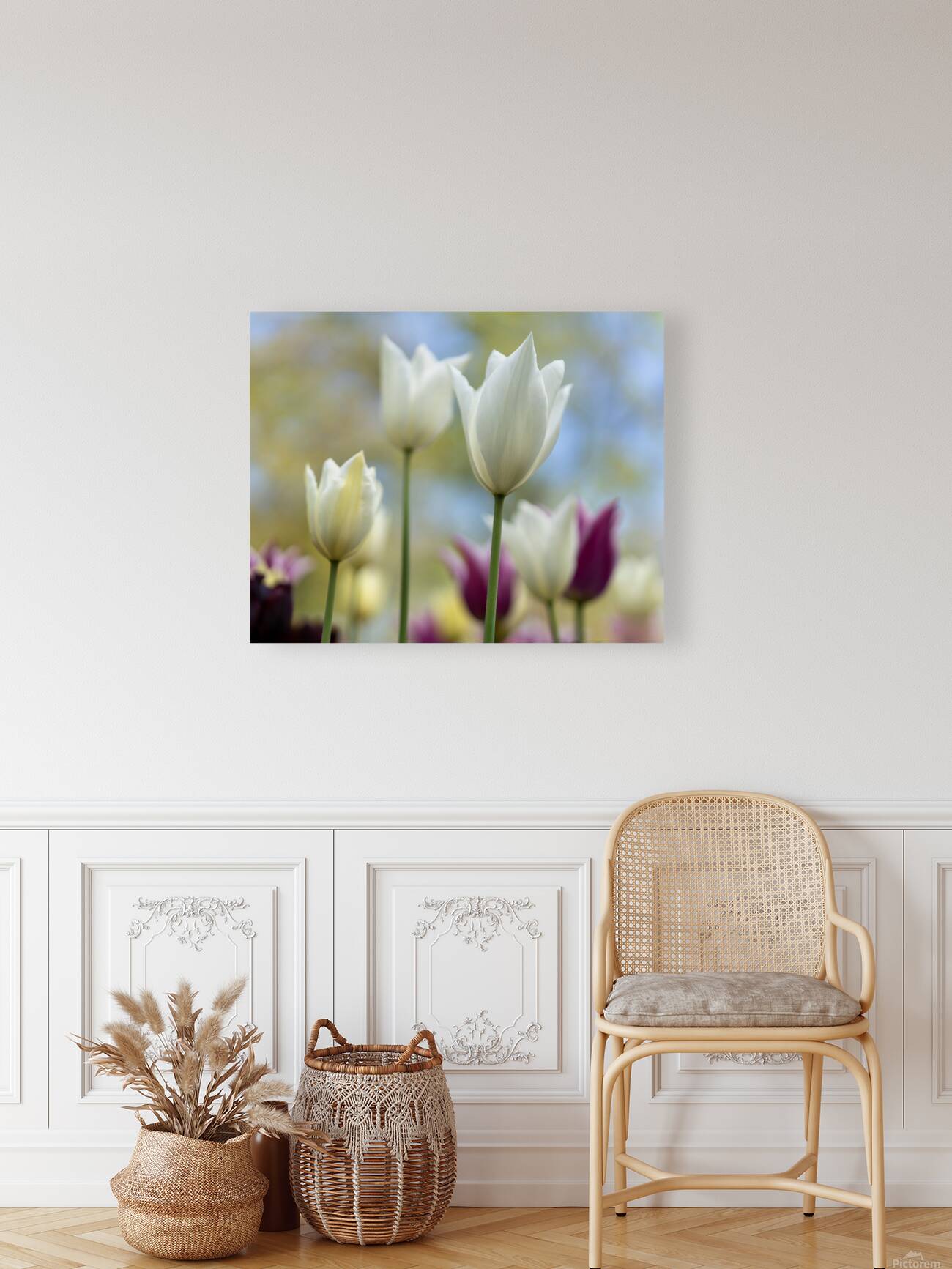 SBP6391 Reproduction