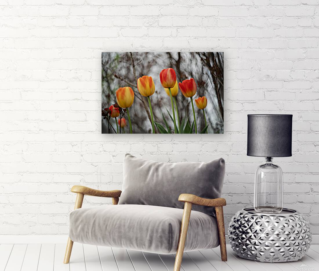 SBP8316 Reproduction