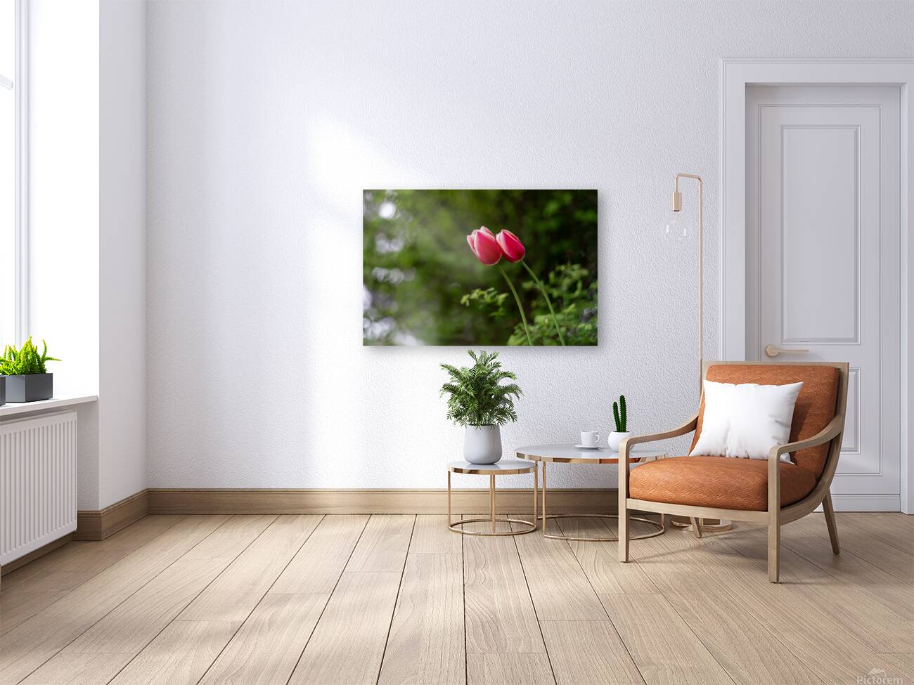 SBP8211 Reproduction