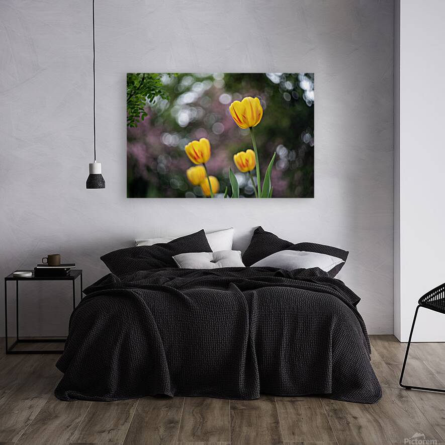 SBP8162 Reproduction