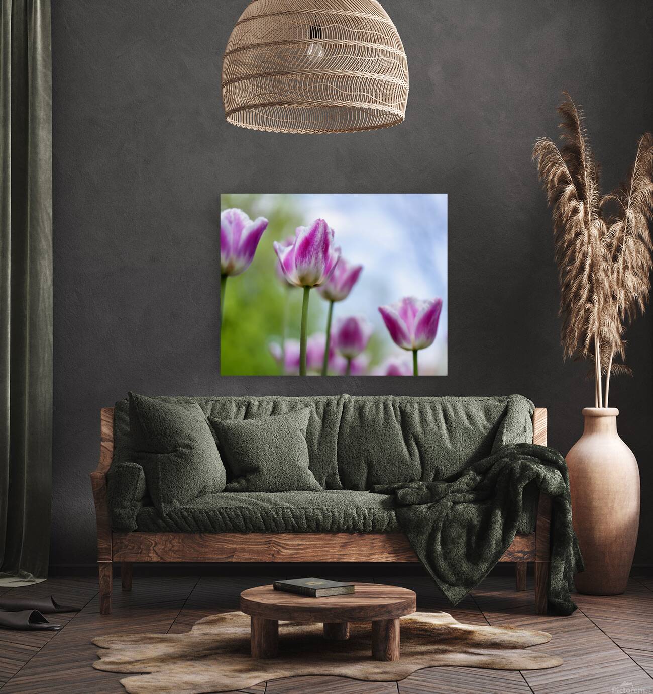 SBP6374 Reproduction