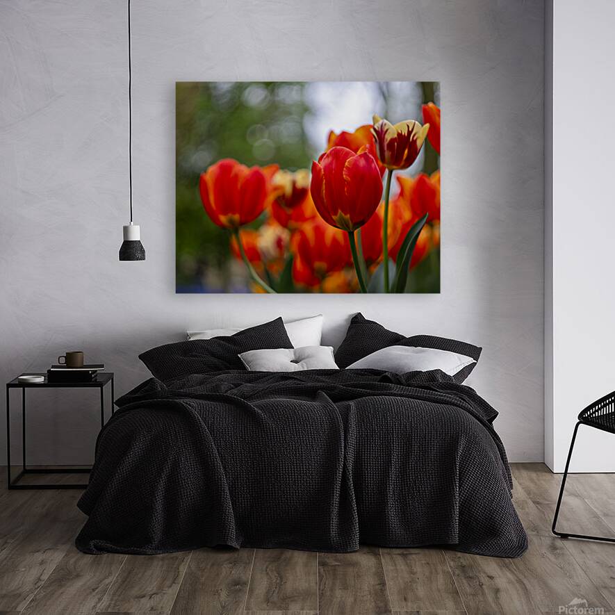 SBP5782 Reproduction