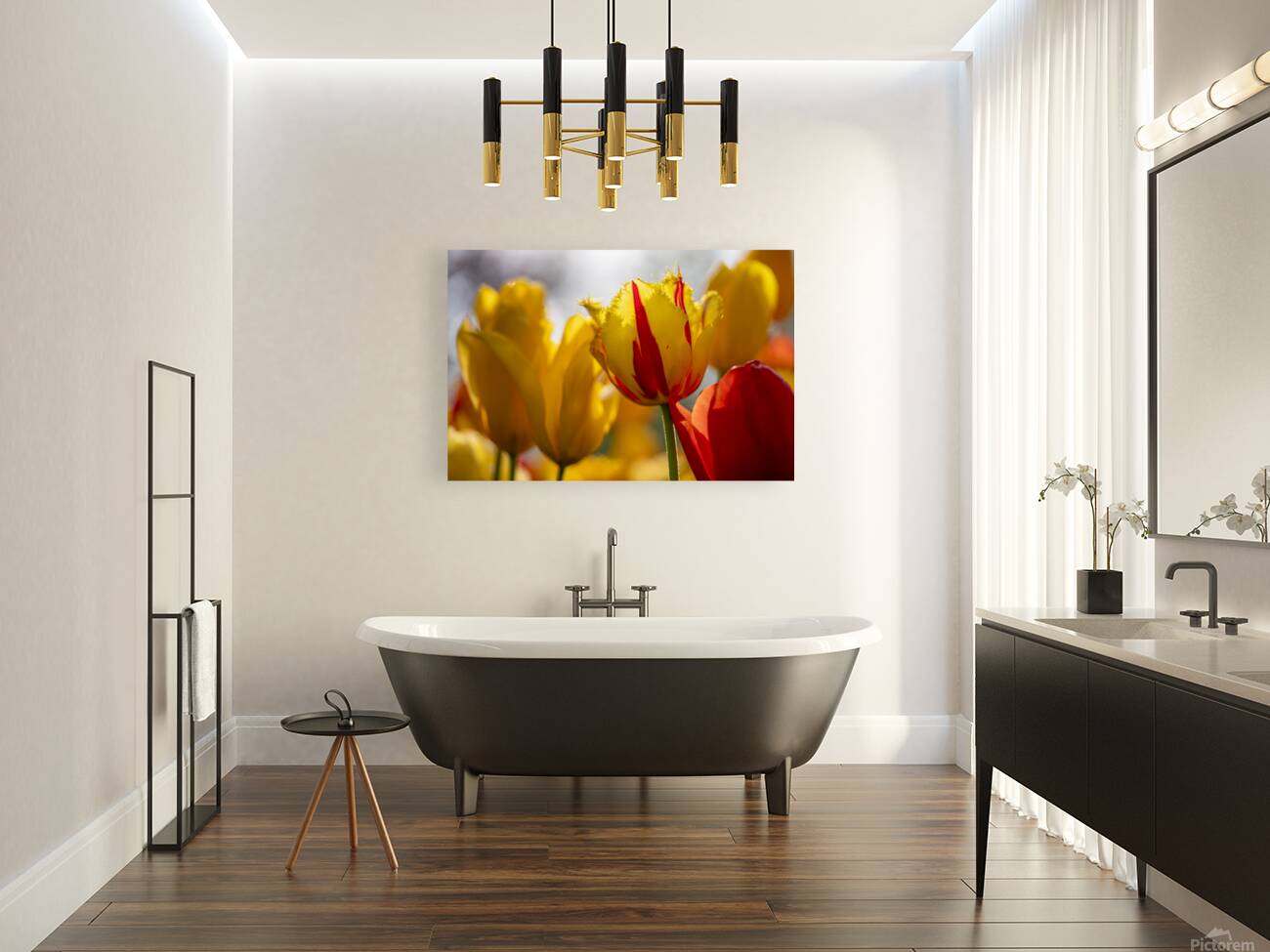 SBP5529 Reproduction