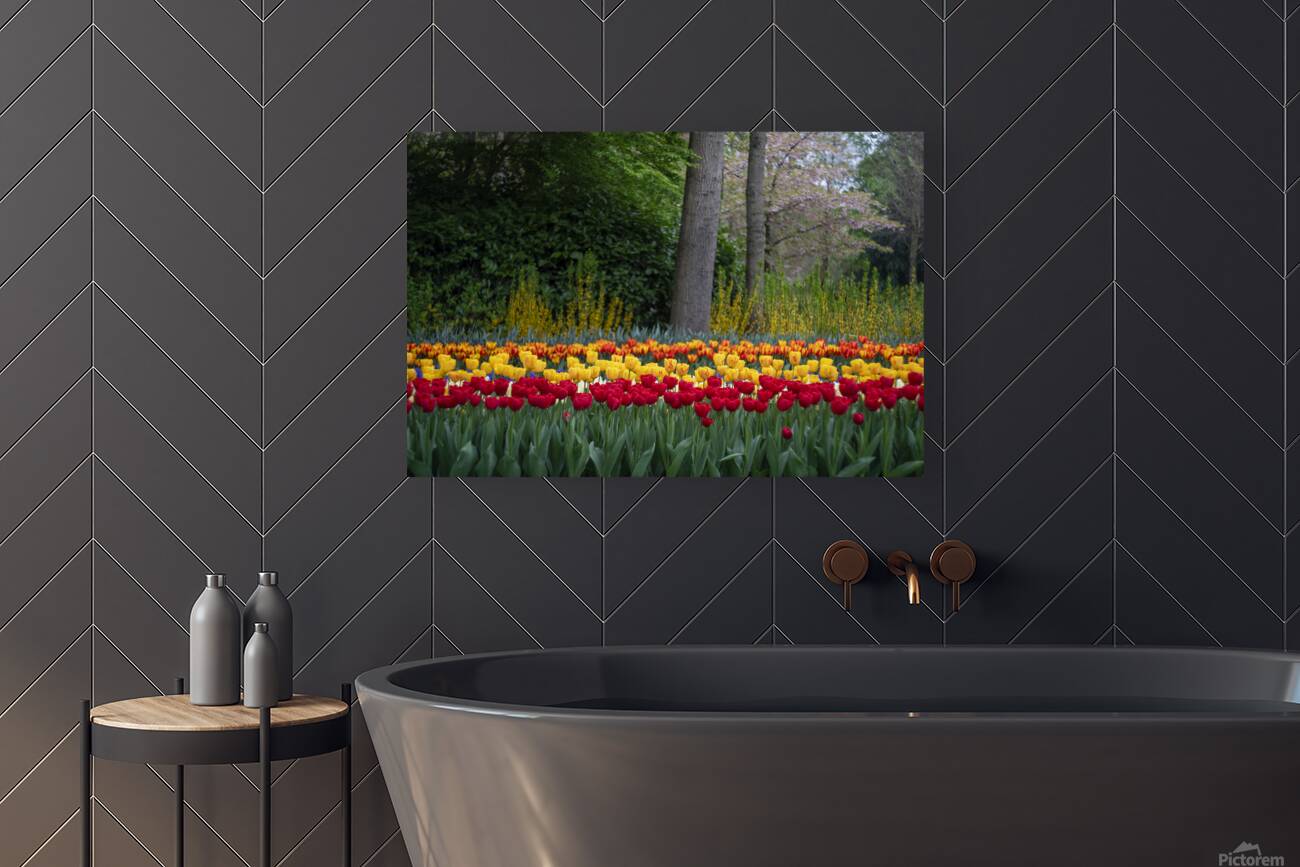 SBP5724 Reproduction