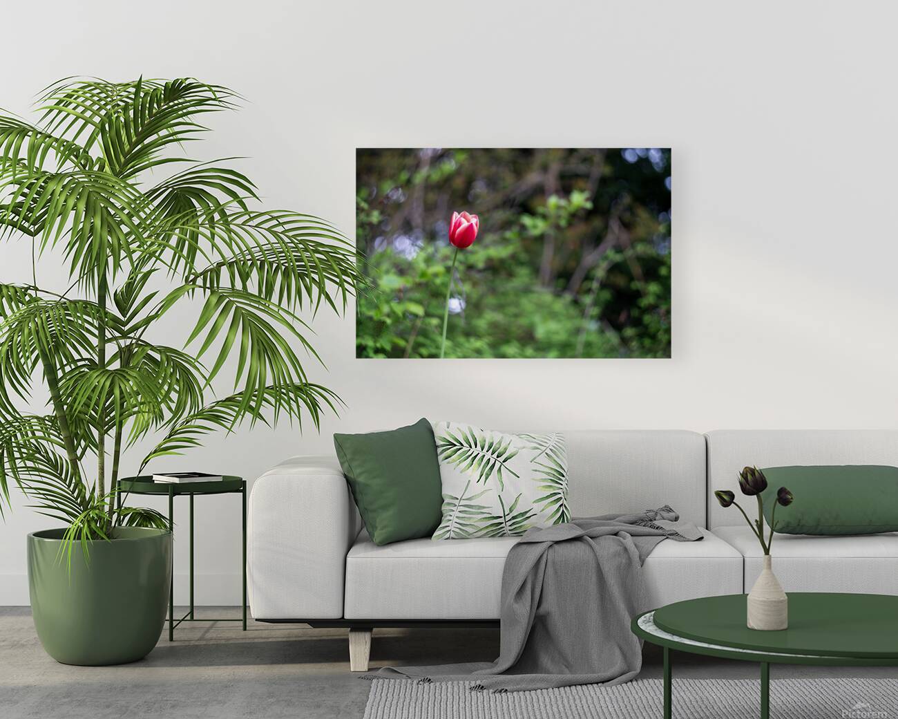 SBP8207 Reproduction