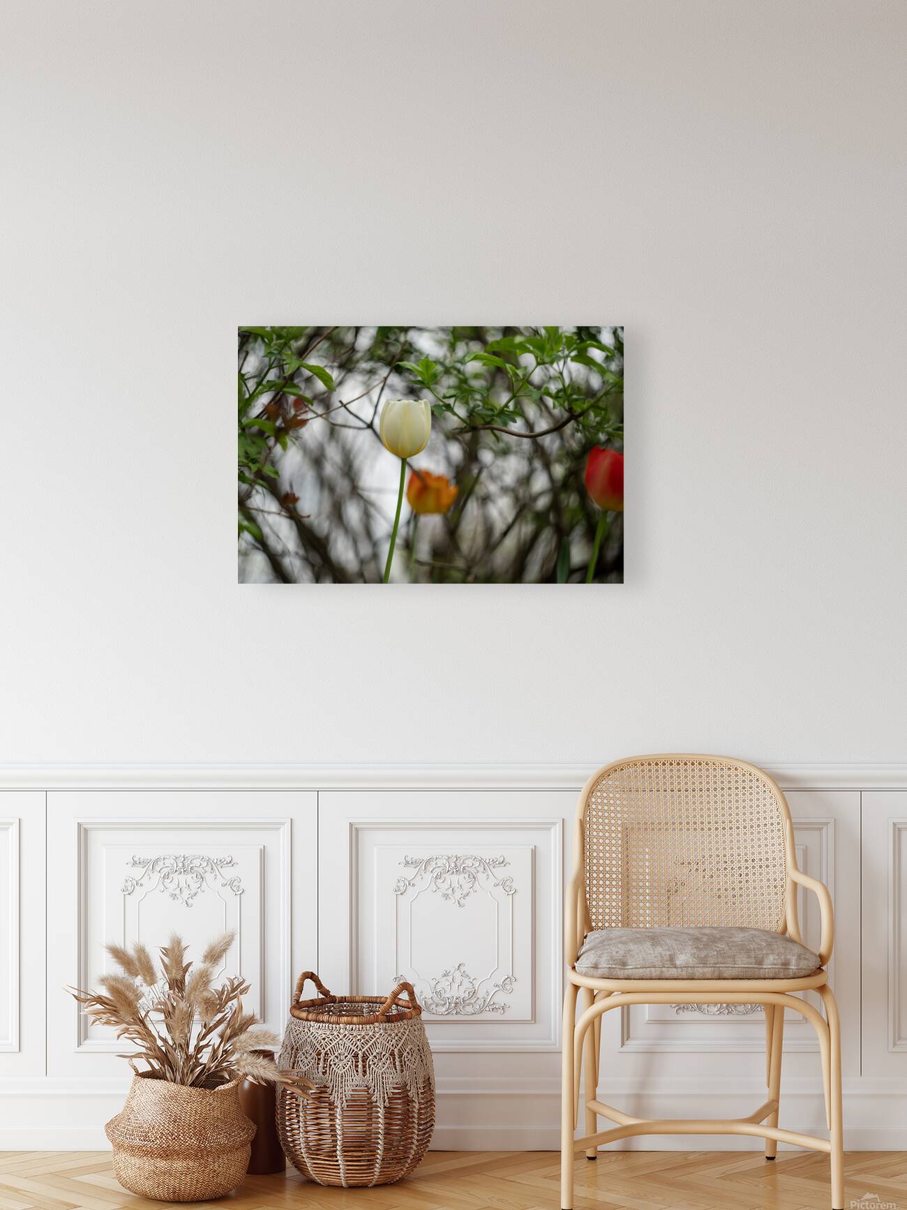 SBP8285 Reproduction