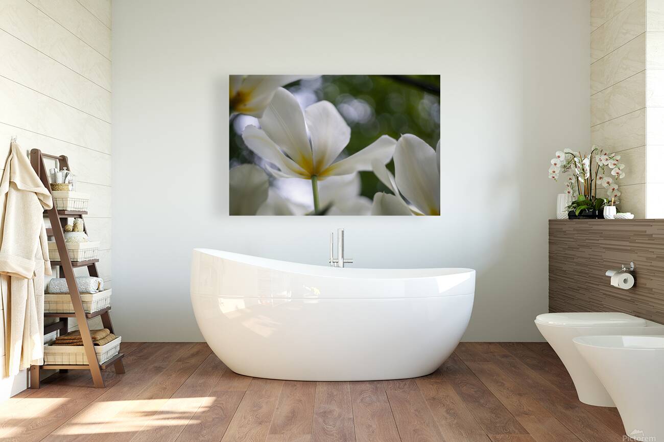 SBP5705 Reproduction