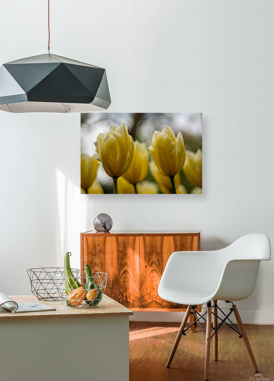 SBP5684 Reproduction