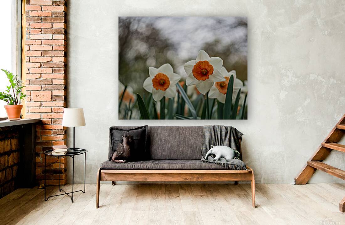 SBP5586 Reproduction