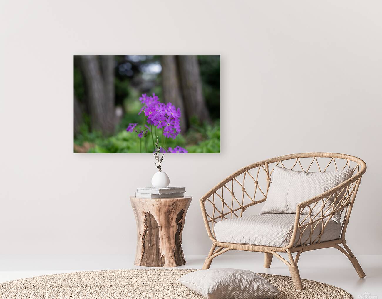 SBP8427 Reproduction