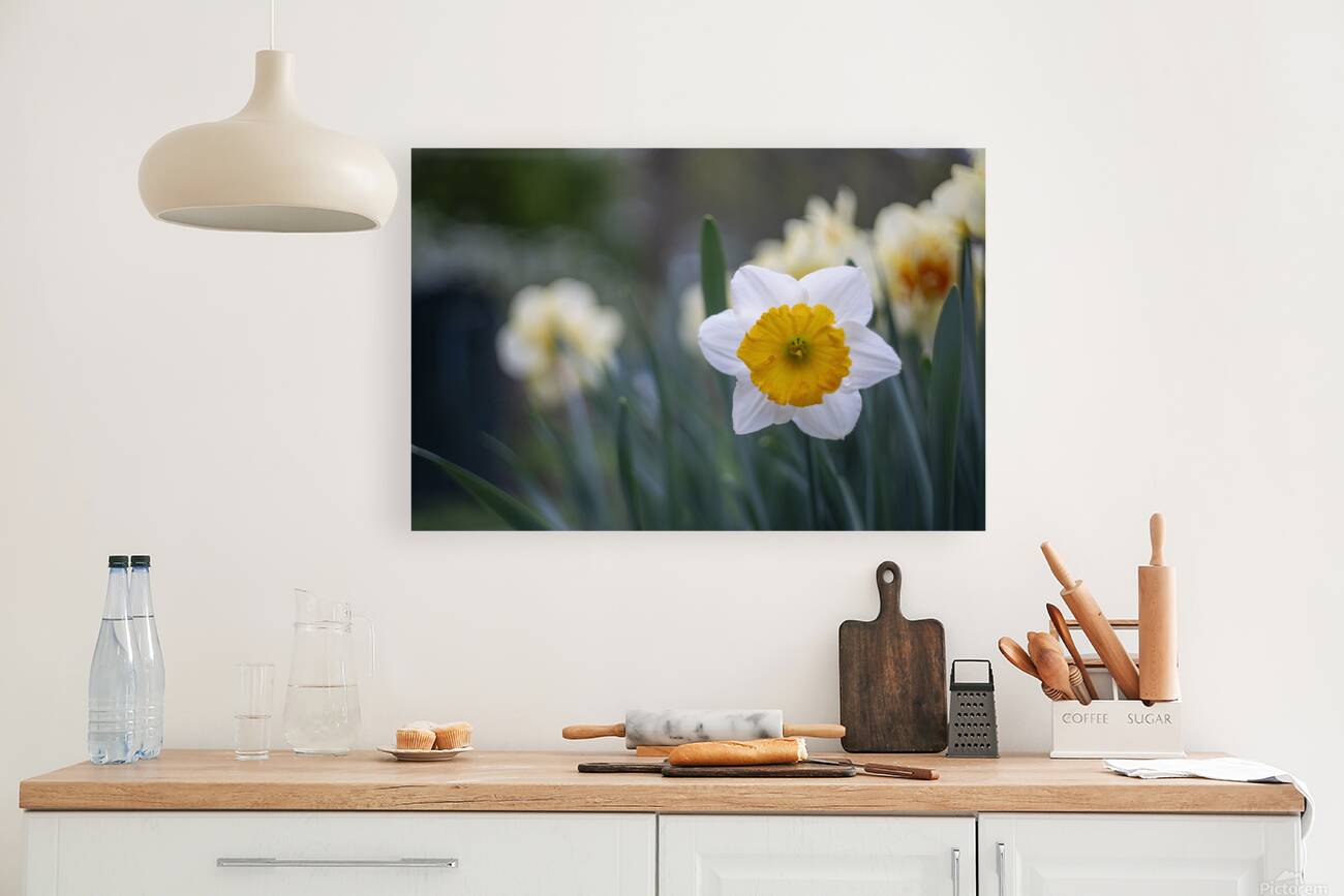 SBP5653 Reproduction