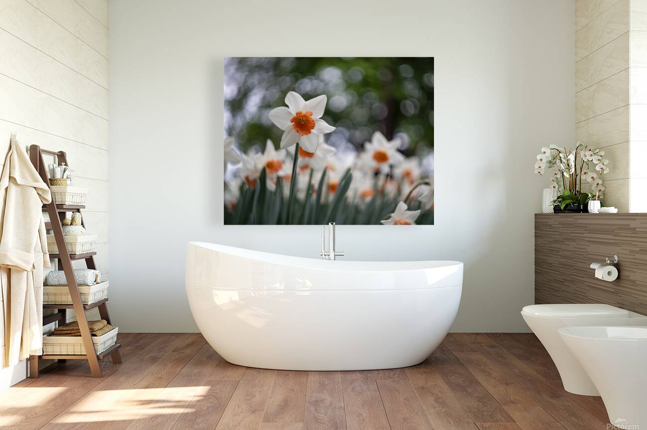 SBP5823 Reproduction