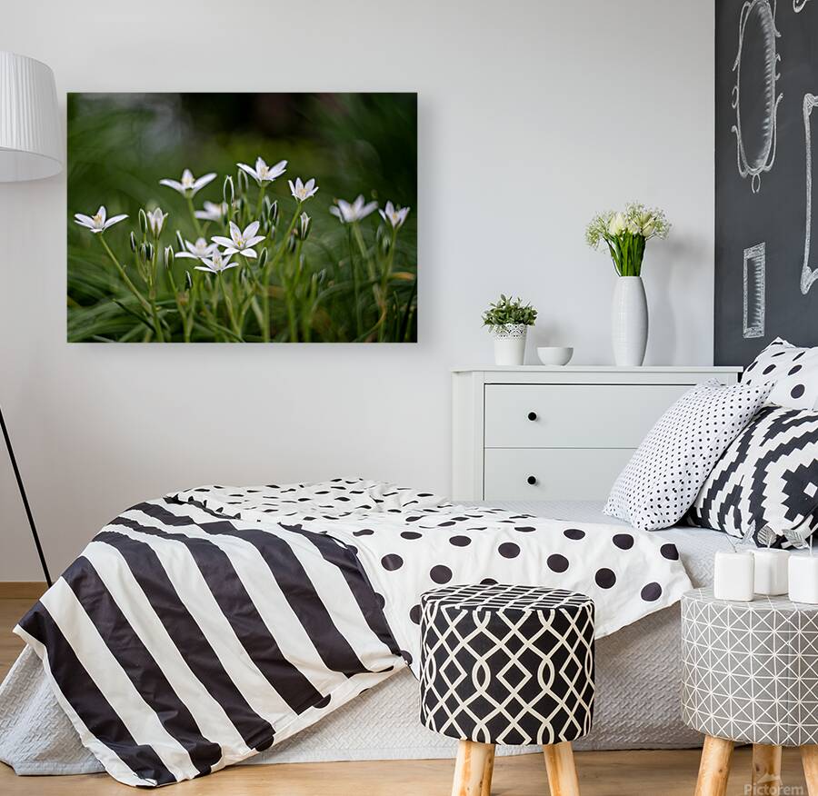 SBP8139 Reproduction