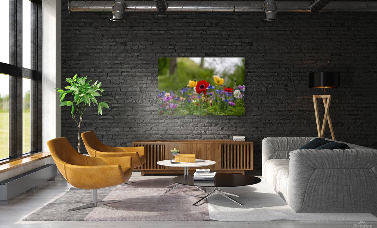 SBP5871 Reproduction