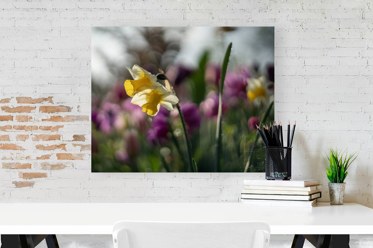 SBP5470 Reproduction