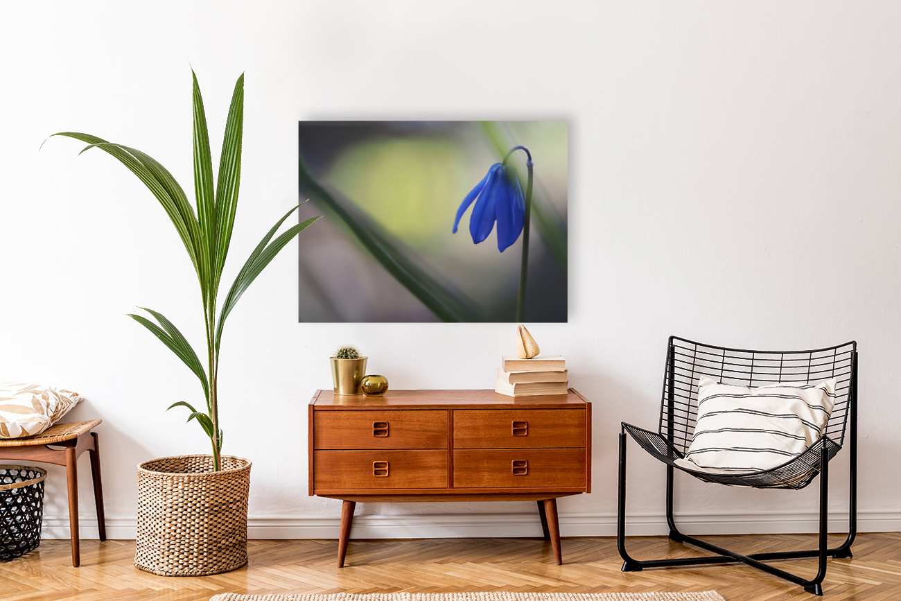 Tiny Blue Umbrella Reproduction