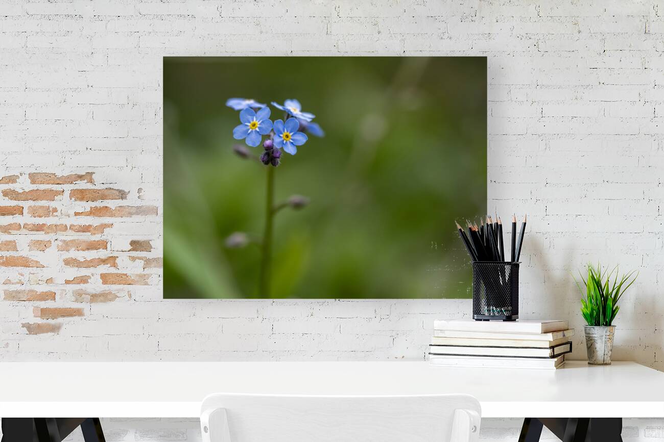 Never Forget Reproduction