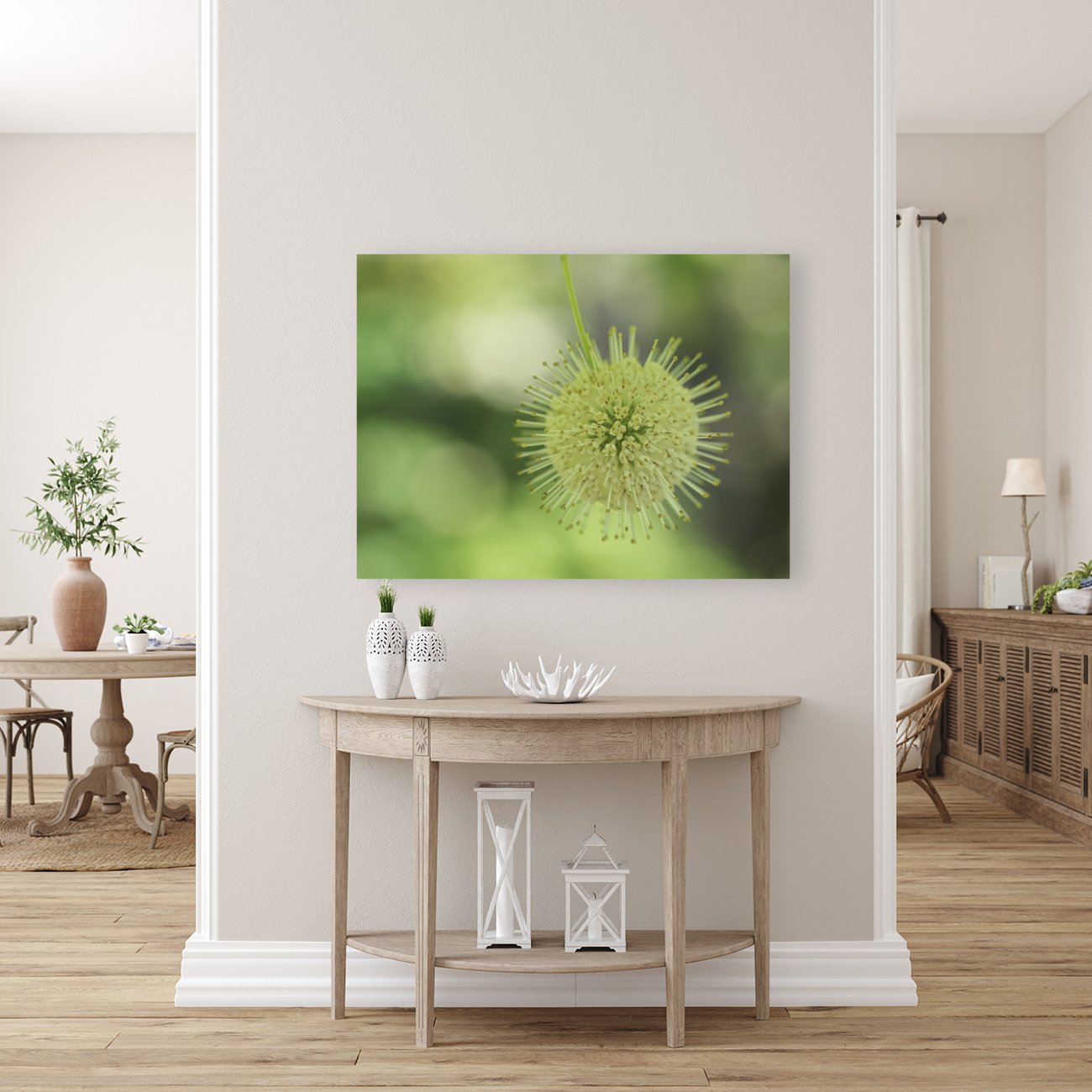 Cephalanthus Occidentalis Reproduction