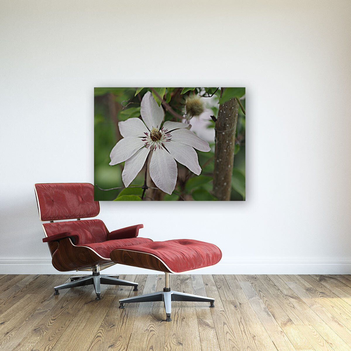 Hidden Beauty Reproduction