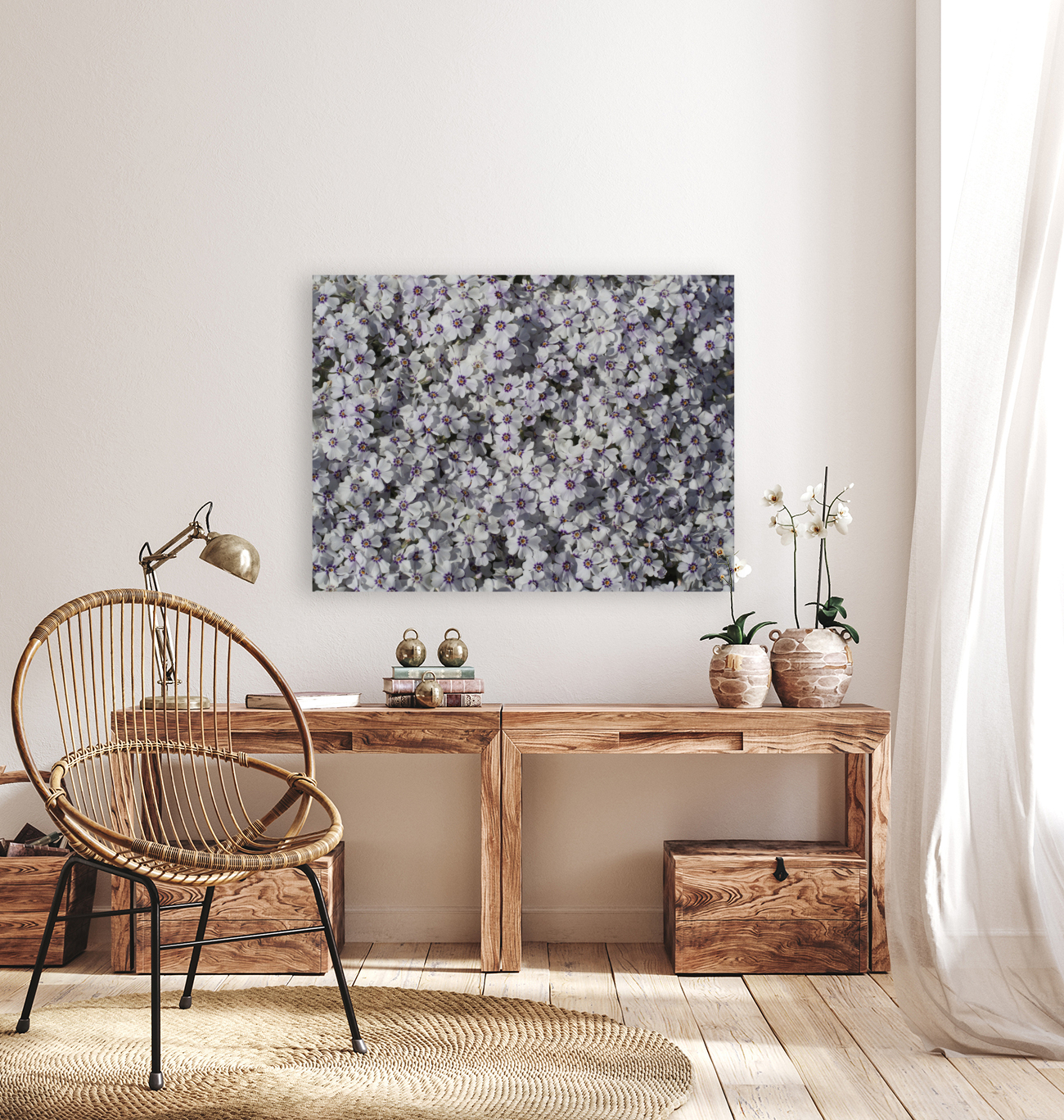 Moss Phlox Reproduction