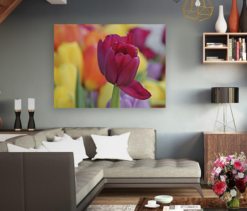 Colorful Reproduction