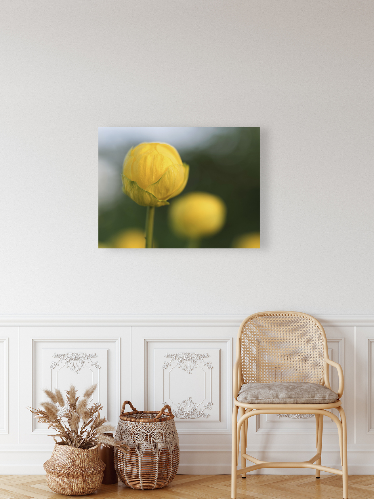 Lollipop Reproduction