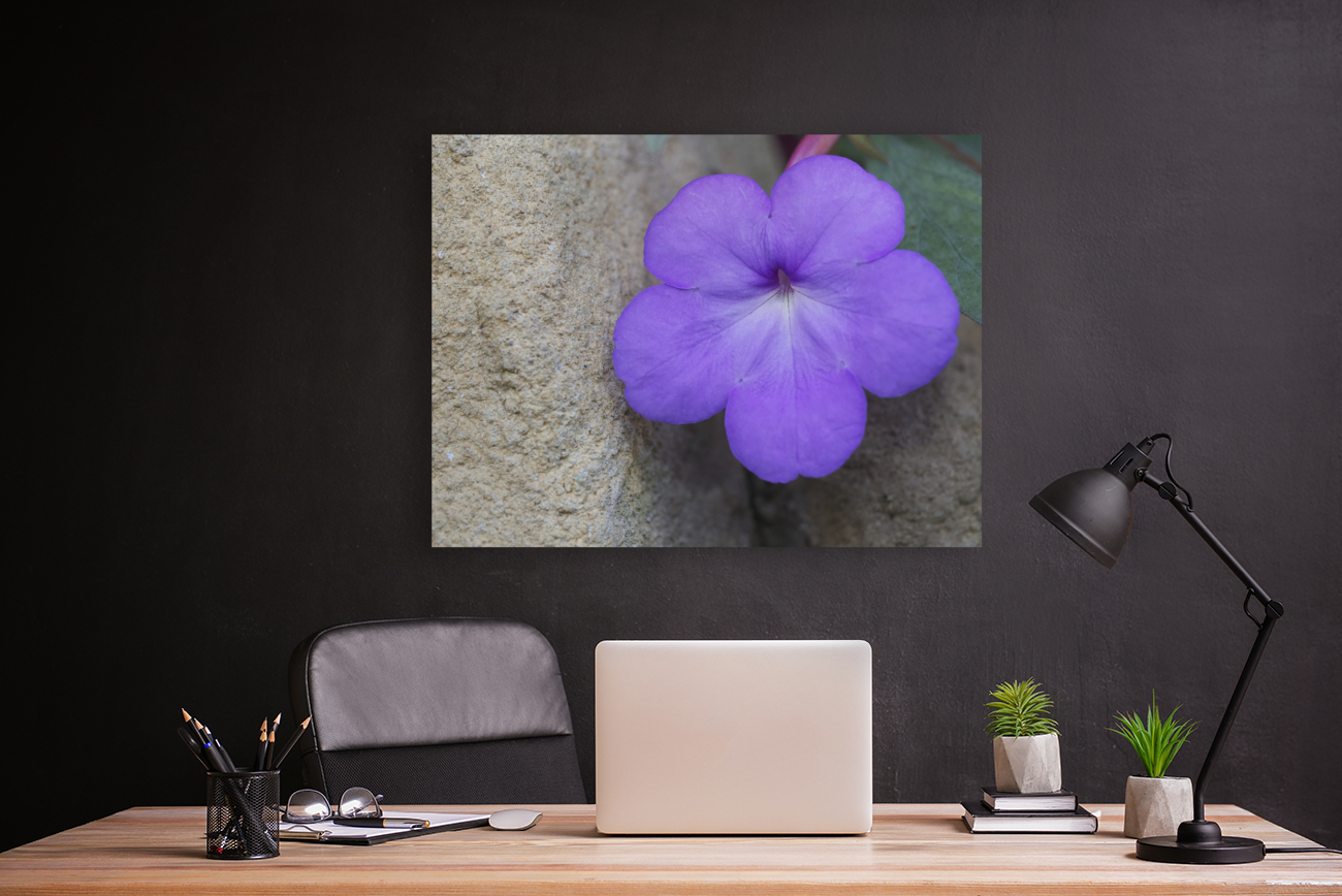 Magic Flower Reproduction