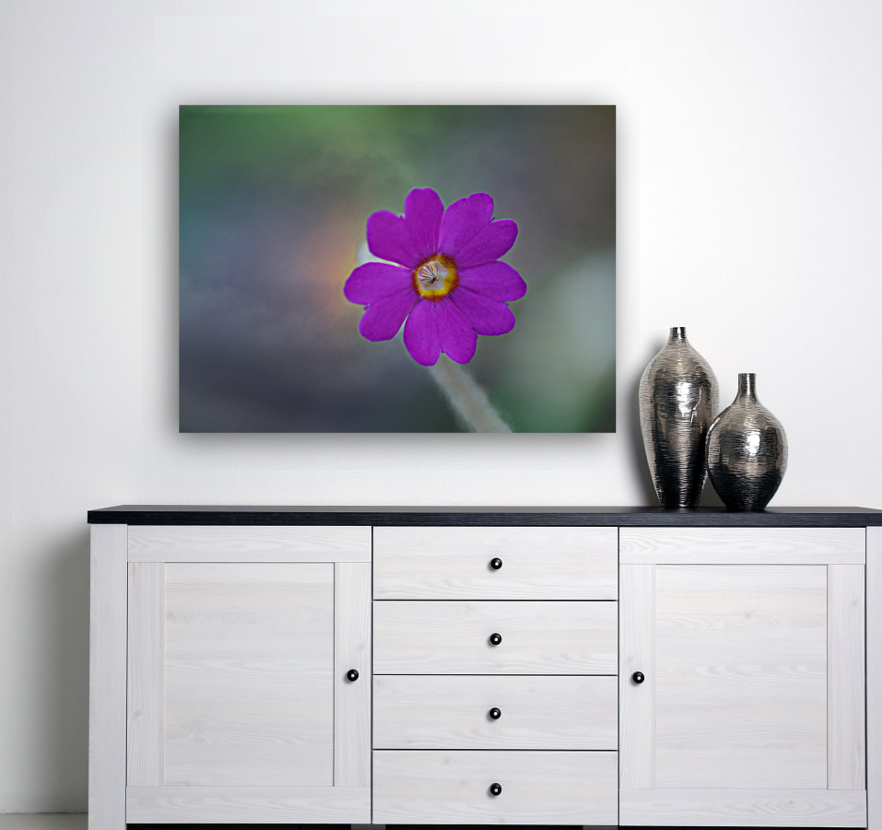 Delicate Beauty Reproduction