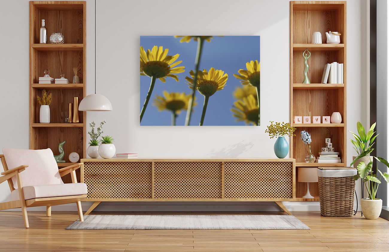 From Below Reproduction