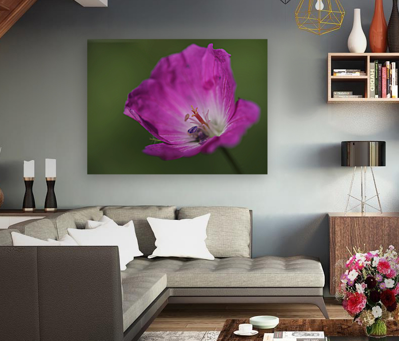 The Heart Of It Reproduction