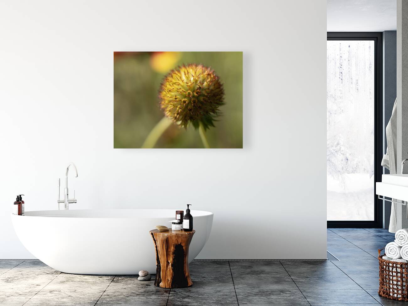 Sundance Seedhead Reproduction