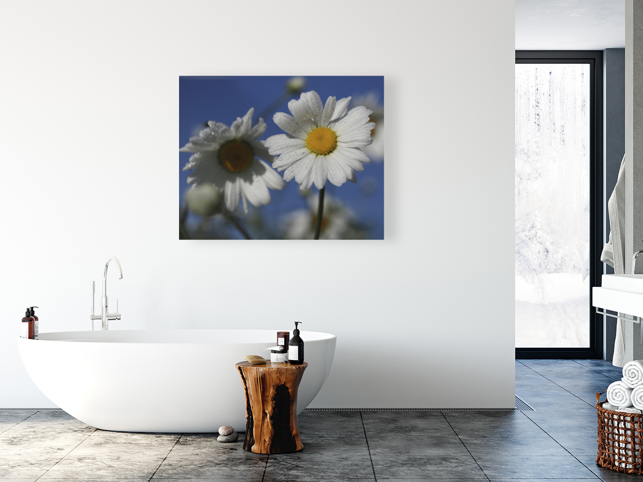 Early Morning Daisies Reproduction