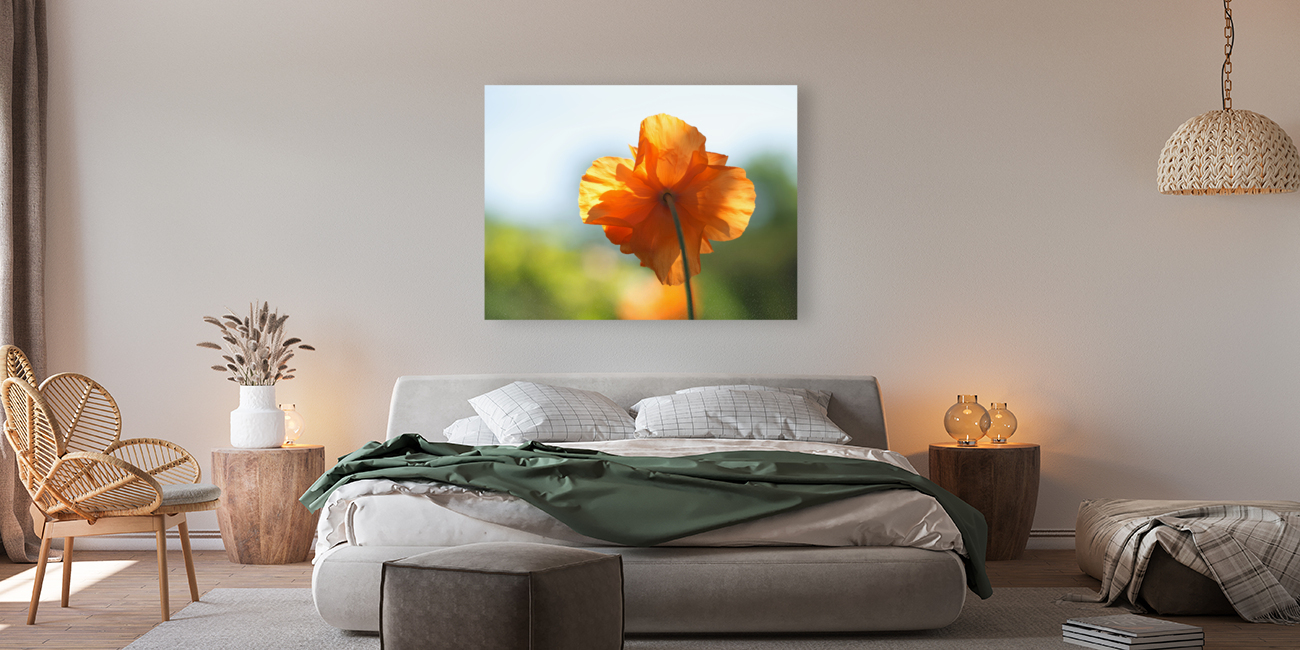 Poppy Burning Reproduction