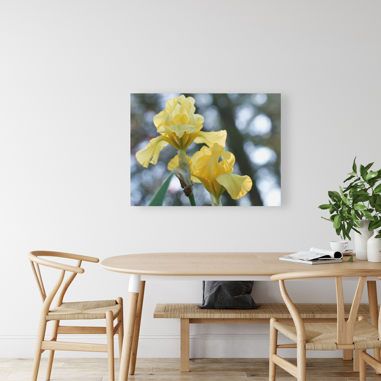 Water Flag Reproduction