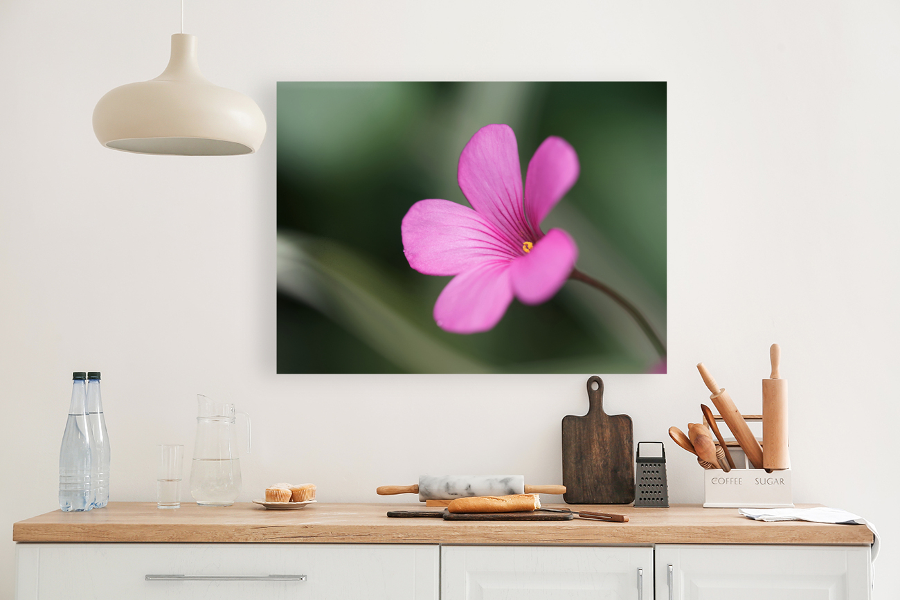 Splash Of Color Reproduction