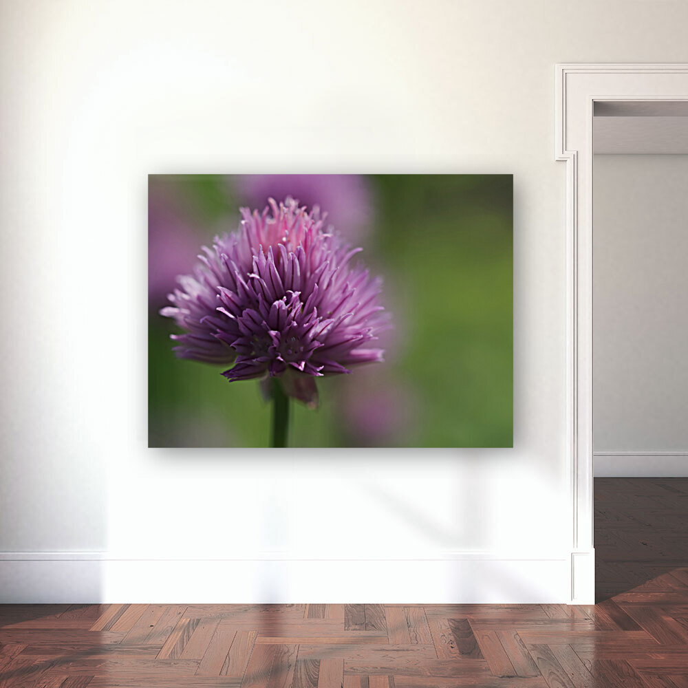Chive Blossom Reproduction