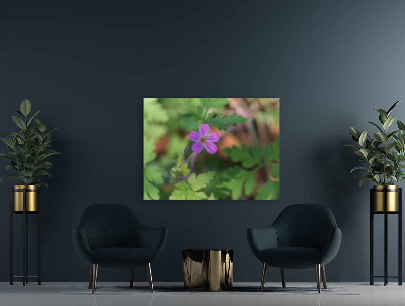 Little Robin Reproduction