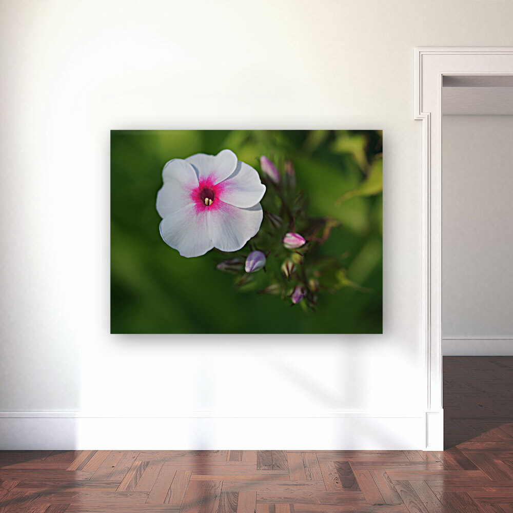 Bright Eyes Reproduction