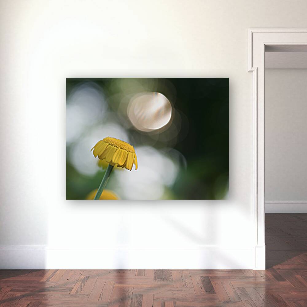 Life Is Strange Reproduction