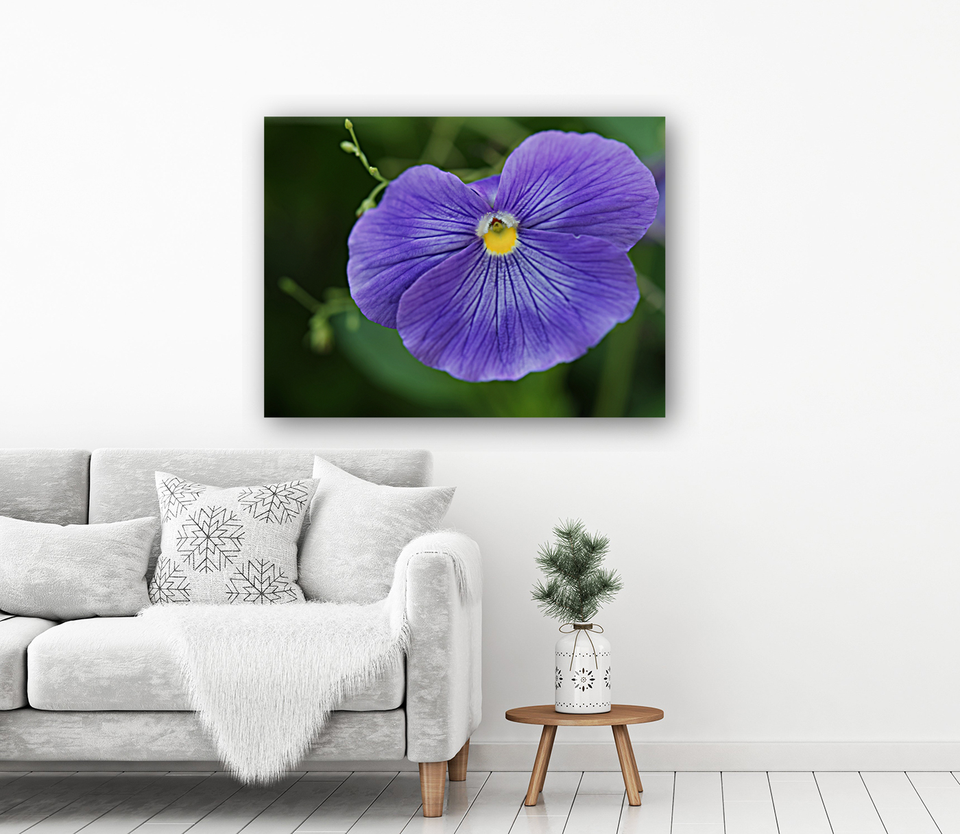 Blue Velvet Reproduction